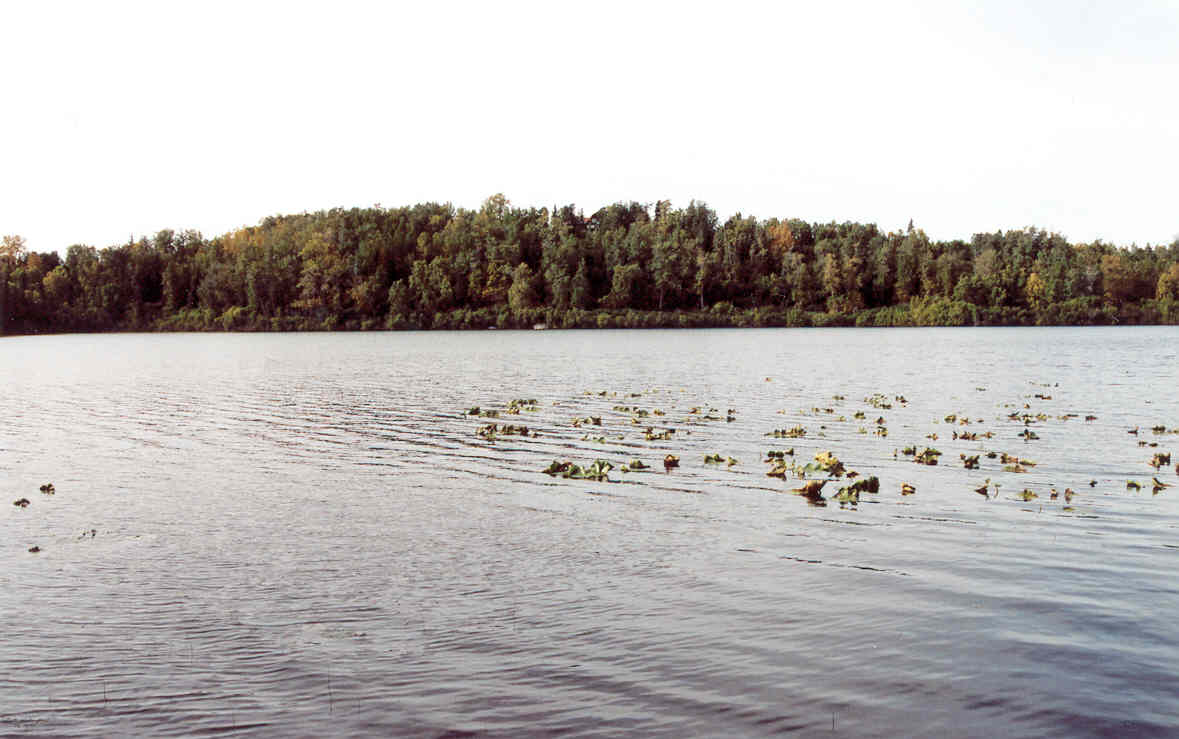  000 Price Lake, Nikiski, AK photo