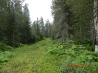  000 Teal Avenue, Nikiski, AK 6424282