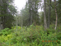  000 Teal Avenue, Nikiski, AK 6424285