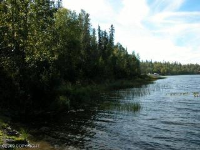  L7 Moose Run Road, Nikiski, AK 6424343