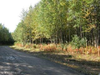  L7 Moose Run Road, Nikiski, AK 6424347