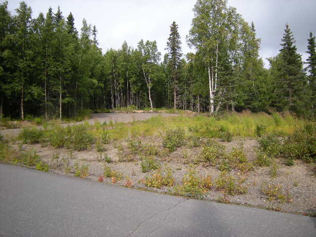  L4 B2 Silverspring Lane, Nikiski, AK photo