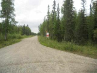  Lot 9 Timber Trail, North Pole, AK 6497485
