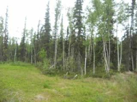  Lot 9 Timber Trail, North Pole, AK 6497480