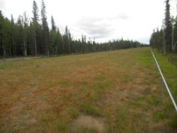  Lot 6 Timber Trail, North Pole, AK 6497606
