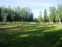  3921 Blessing, North Pole, AK 6498293