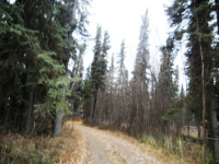  5845 Old Valdez Trail, Salcha, AK 6500790