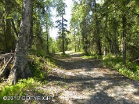  6962 S Big Lake Road, Big Lake, AK 7079432