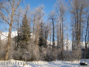  L4 B1 Girdwood Place, Girdwood, AK photo