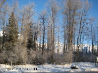  L4 B1 Girdwood Place, Girdwood, AK 7674540