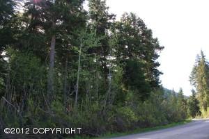  L12 B25 Timberline Drive, Girdwood, AK photo