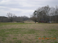  COUNTY ROAD 1539, Cullman, AL 6420473