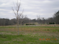  COUNTY ROAD 1539, Cullman, AL 6420471