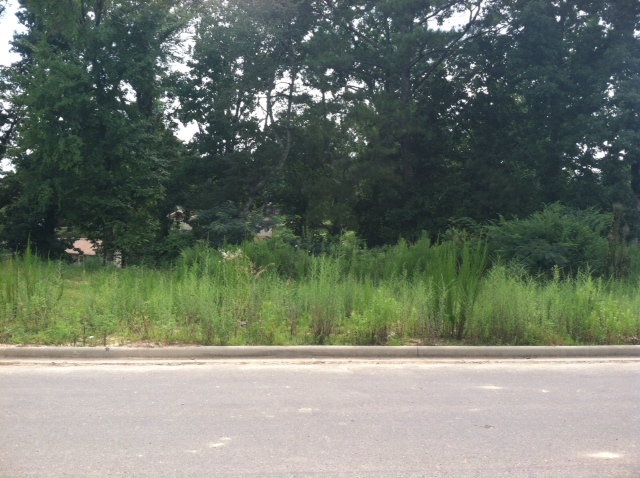  LOT 23 CHURCHILL LANE, Cullman, AL photo