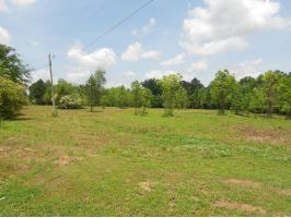  00 CO Rd 707, Cullman, AL photo