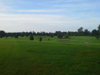  195 Golf Club Drive, Horton, AL 6453058