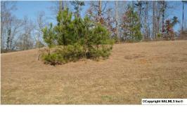  Lot 9 Chula Vista Ridge Drive, Decatur, AL photo