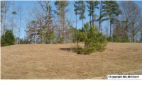  Lot 9 Chula Vista Ridge Drive, Decatur, AL 6519977