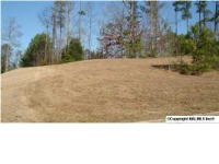  Lot 9 Chula Vista Ridge Drive, Decatur, AL 6519976