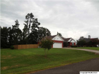  26613 Lydia Joe Drive, Athens, AL 6520972