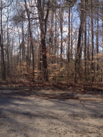  Congress Drive Lot 30, Athens, AL 6521009