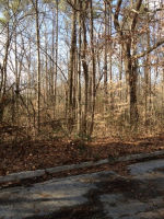  Congress Drive Lot 29, Athens, AL 6521010