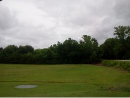 6765 County Line Rd., Russellville, AL photo