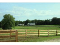 1859 County Road 83, Newville, AL 6552038