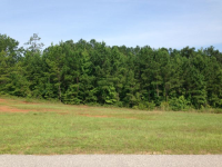  Lot 80 River Bend Heights, Valley, AL 7162222