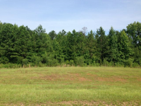  Lot 80 River Bend Heights, Valley, AL 7162223