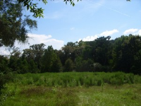  30682 County Rd 21, Red Level, AL 7528126
