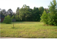  0 Walter Ct #4, Mobile, AL 7640003