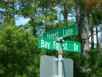  0 Bay Forest Drive, Foley, AL 8000904