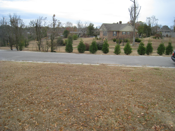  0 HILLCREST RD NE, Cullman, AL photo