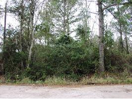  Lot 2 Keener St, Prichard, AL photo