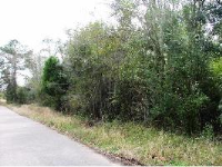  Lot 2 Keener St, Prichard, AL 8384799