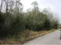  Lot 2 Keener St, Prichard, AL 8384796