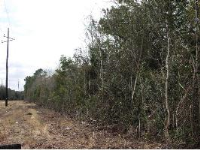  Lot 2 Keener St, Prichard, AL 8384795