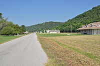  Lot 4 Valley Drive, Cotter, AR 6432631