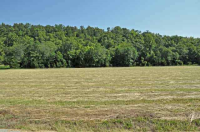  Lot 4 Valley Drive, Cotter, AR 6432629