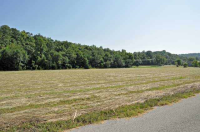  Lot 4 Valley Drive, Cotter, AR 6432630