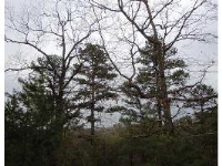  Jordan Ridge Ln, Eureka Springs, AR 6434955