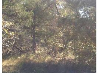  Lot 2 Valley Dr, Holiday Island, AR 6435159