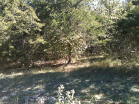  00 Valley Dr, Holiday Island, AR 6435273