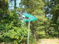  Lot 118 Red Bud Road, Gassville, AR 6436605