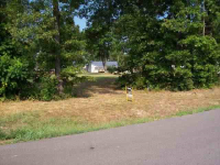 Lot 118 Red Bud Road, Gassville, AR 6436601