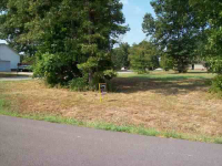  Lot 118 Red Bud Road, Gassville, AR 6436603