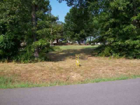  Lot 118 Red Bud Road, Gassville, AR 6436602
