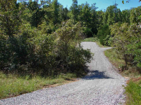  Lot 28 Cr 1084, Midway, AR 6437162