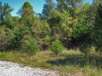  Lot 28 Cr 1084, Midway, AR 6437164